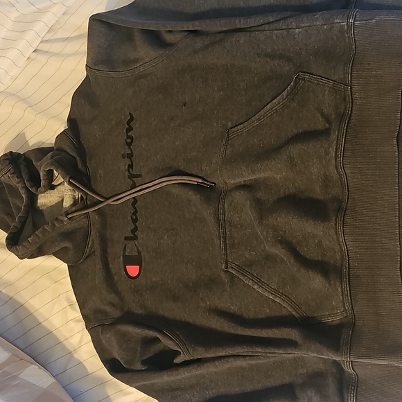 Champion Other - 💥4/$16 Champion Hoodie Mens Size Small